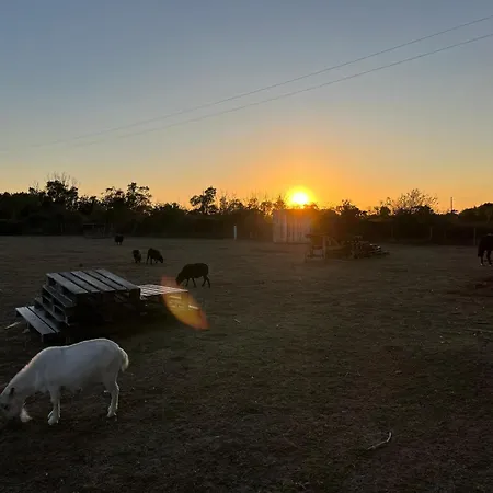 Holiday home Accessible Pmr Avec Jardin Clos, Terrasses Et Proche Velo Rail A - Fr-1-426-465