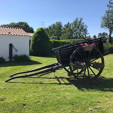 Accessible Pmr Avec Jardin Clos, Terrasses Et Proche Velo Rail A - Fr-1-426-465 * Commequiers