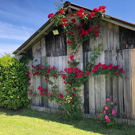 Accessible Pmr Avec Jardin Clos, Terrasses Et Proche Velo Rail A - Fr-1-426-465 *