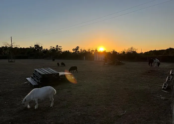 Casa vacanze Commequiers, 5 Pièces, 11 Personnes - Fr-1-426-465