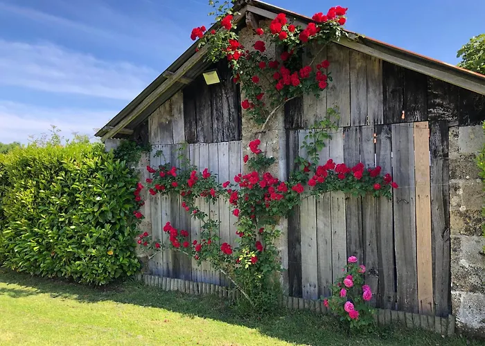 Commequiers, 5 Pièces, 11 Personnes - Fr-1-426-465 *